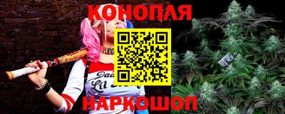 ALPHA PVP Шахты