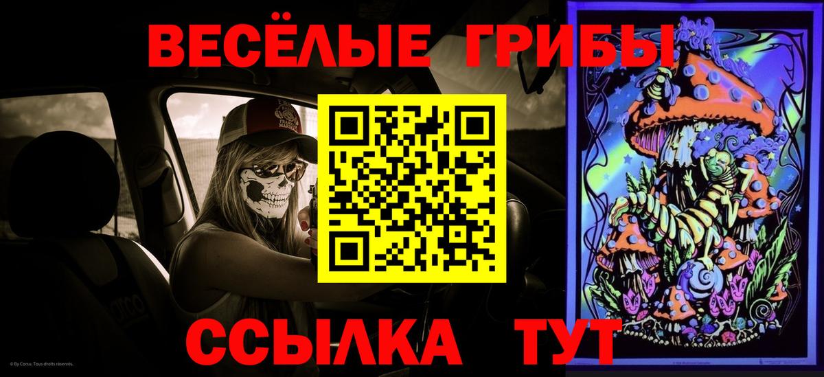 Михайловск  Псилоцибиновые грибы мухоморы  Вход с VPN 